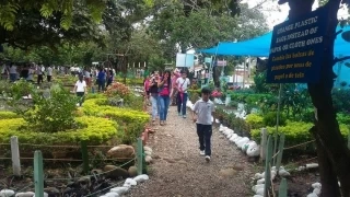 En la inauguración del sendero ecológico Matajey unas 2.000 personas asistieron a observar cada una de las áreas sembradas con especies nativas de la Orinoquia